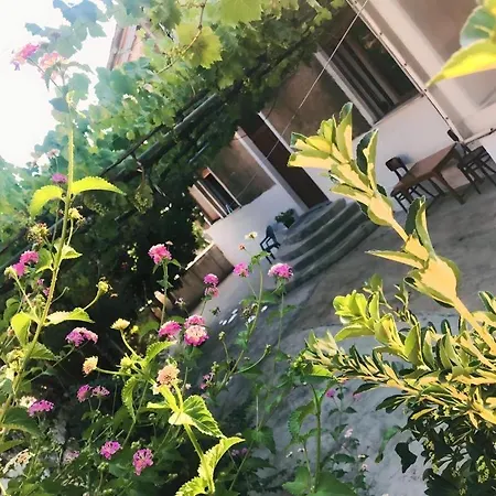 Alesio House Apartment Delvine