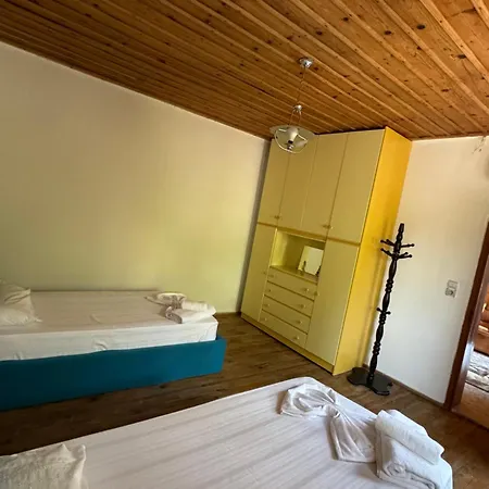 Apartment Alesio House *